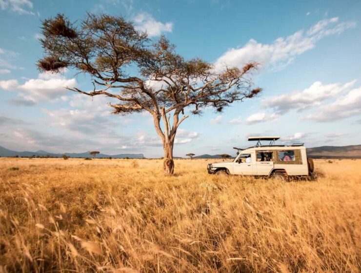 Tsavo Safari Packages are mostly done with our comfortable safari jeeps